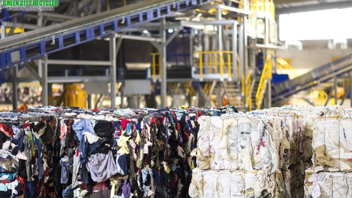 Moda sustentável: a indústria têxtil está mudando e você pode se beneficiar